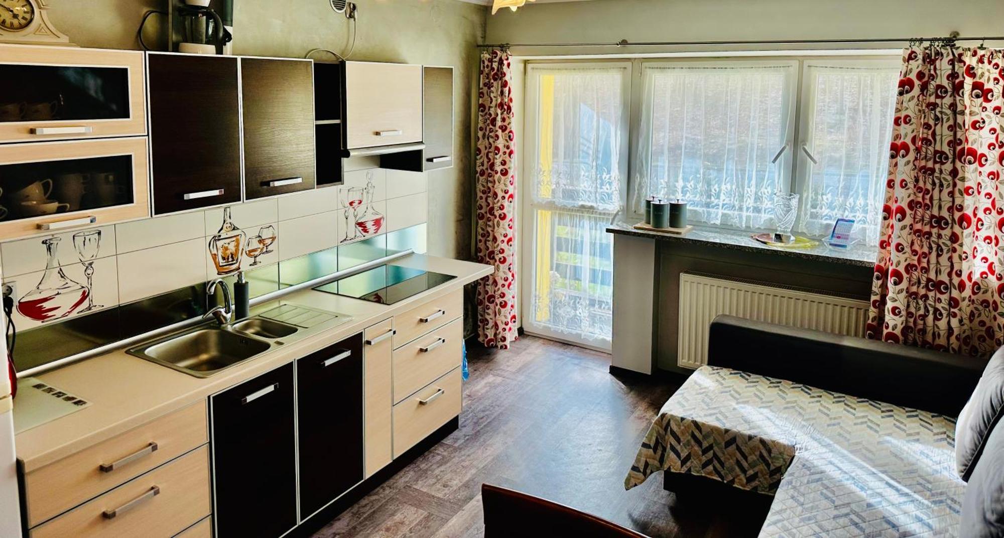 Apartament Nad Kamienczykiem II シクラルスカ・ポレンバ エクステリア 写真